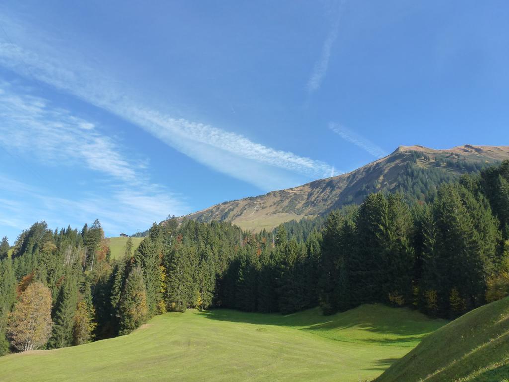 Walser Berg Chalets Рицлерн Екстер'єр фото